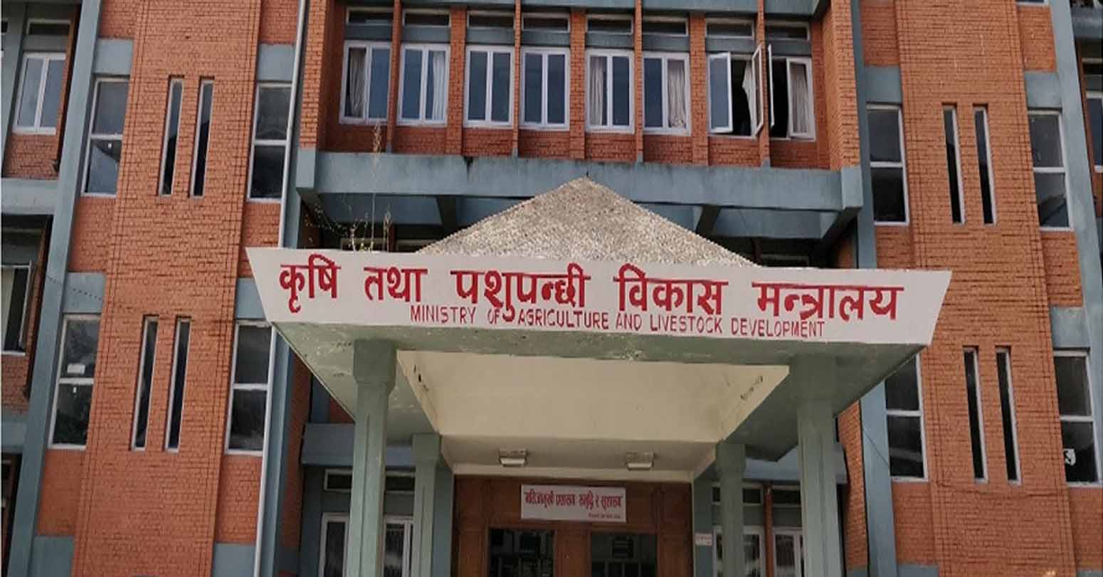अखाद्य वस्तु भेटिएपछि बागमती स्विट्सको उत्पादन रोक्न निर्देशन