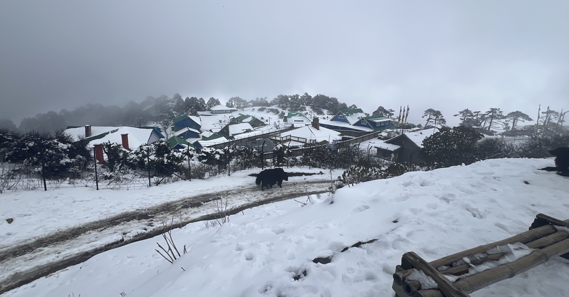 आज केही स्थानमा वर्षा र हिमपात हुने