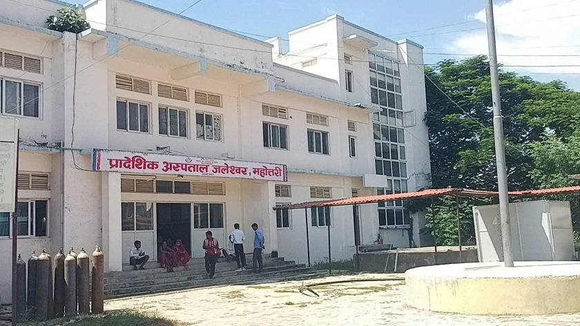 गर्मीबढेसँगै सर्प दंशका बिरामी बढे